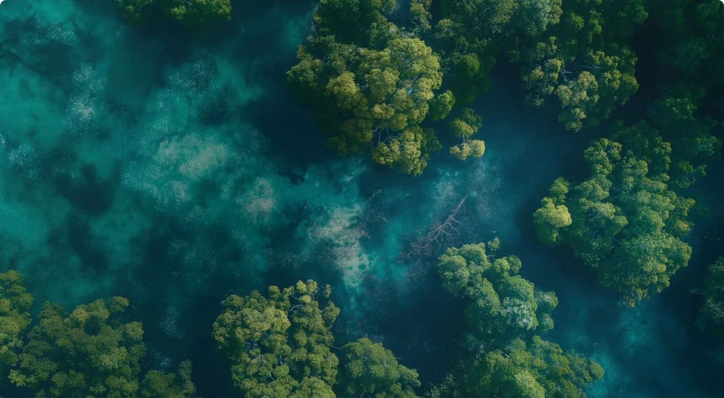 Aerial view showcasing lush green trees surrounding a serene expanse of ocean water.